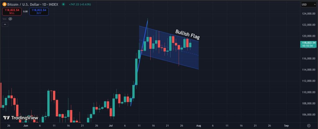 Bitcoin price prediction 29-07-2025: Bullish flag for Bitcoin on the 1-day and 4-hour timeframe
