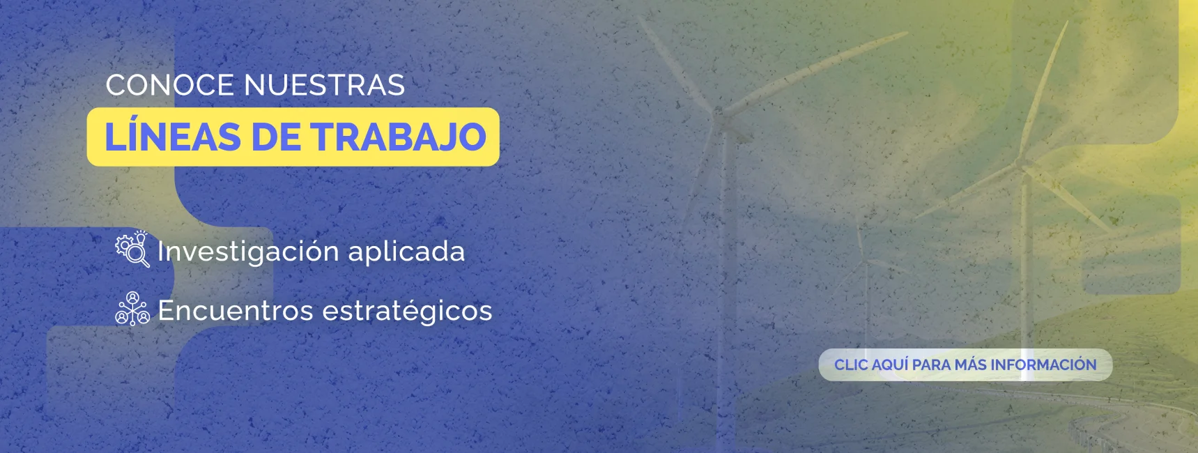Conoce nuestras líneas de trabajo