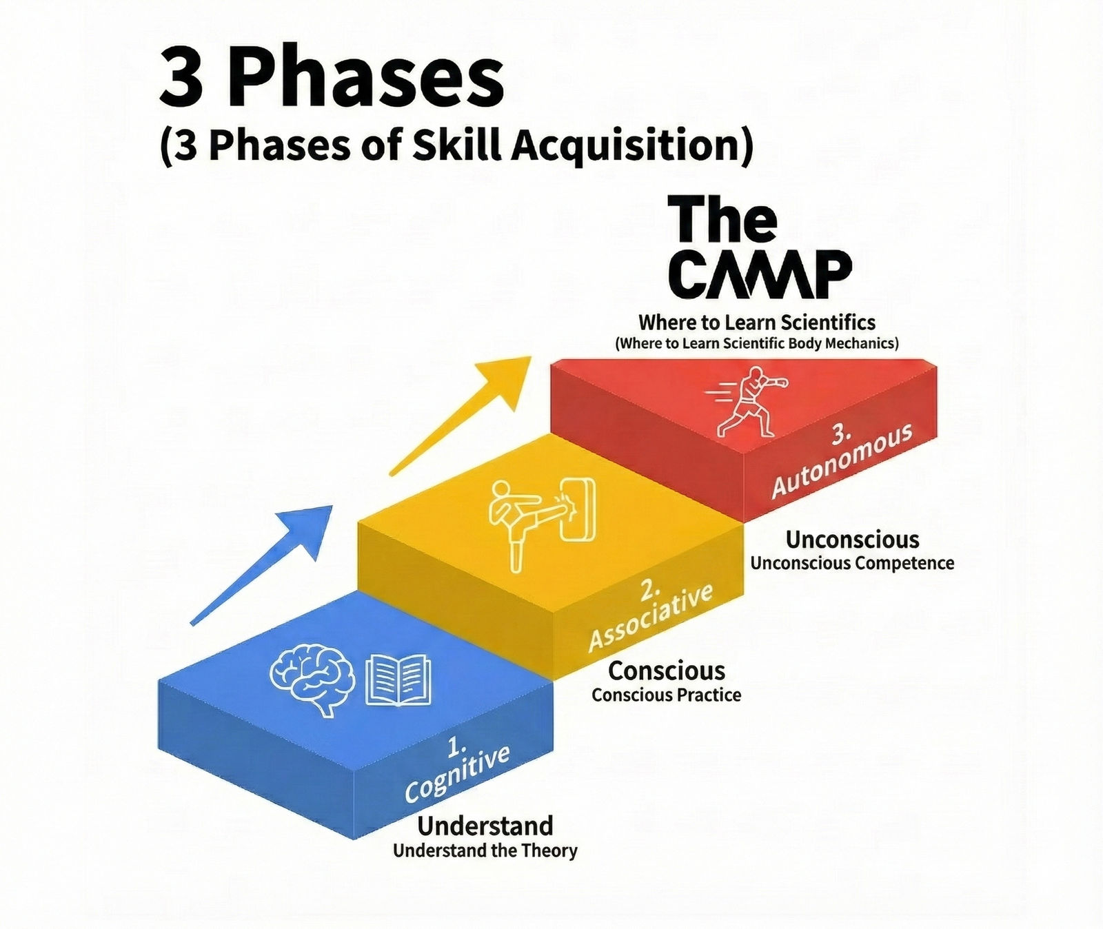 Three-step skill acquisition model (cognitive, associative, autonomous) showing how scientific mechanics are learned and embedded until movement becomes automatic.