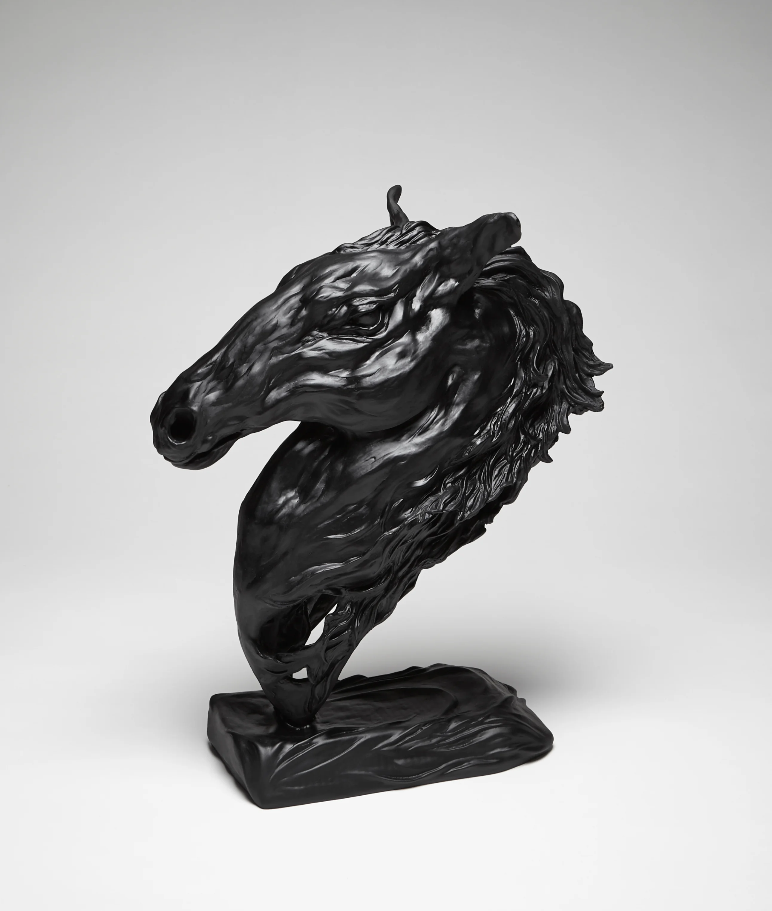 Gallop in the Wind