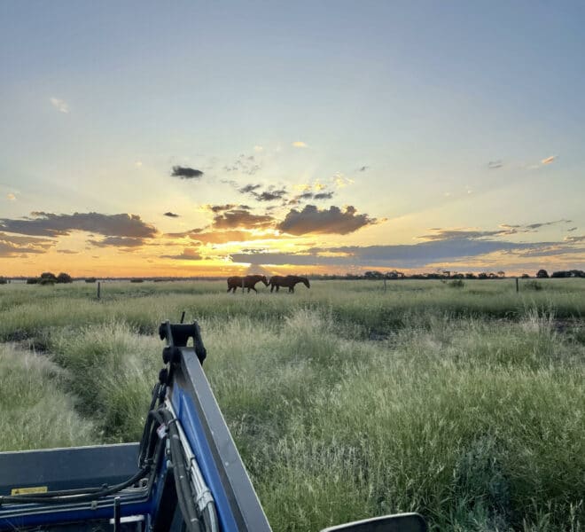 Doug McNichol's Farm