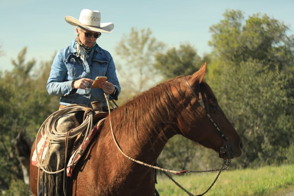 SunFed Ranch - AgriWebb
