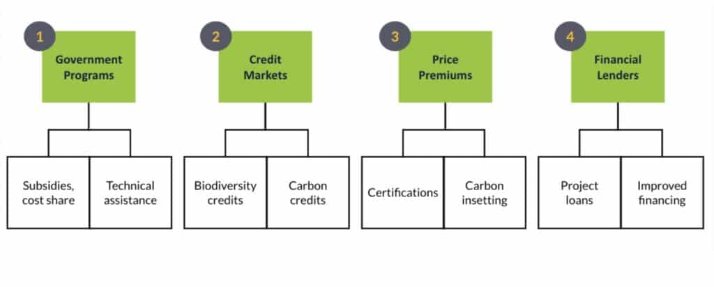 carbon program types