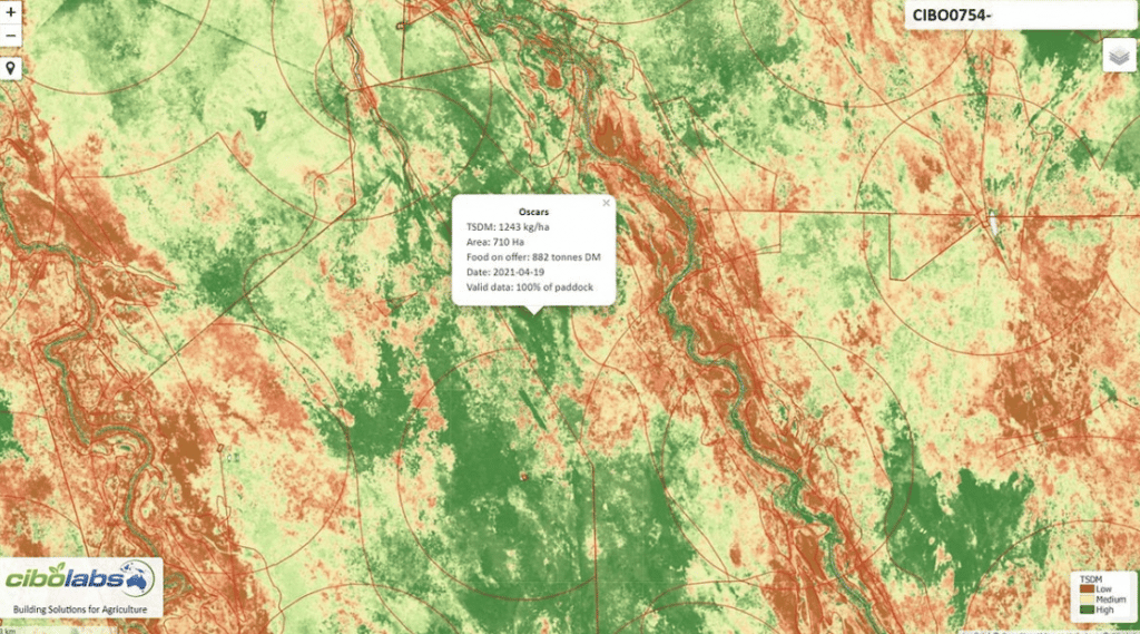Satellite imagery showing feed on offer with Cibo Labs technology
