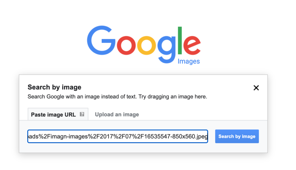 how to reverse image search step 2