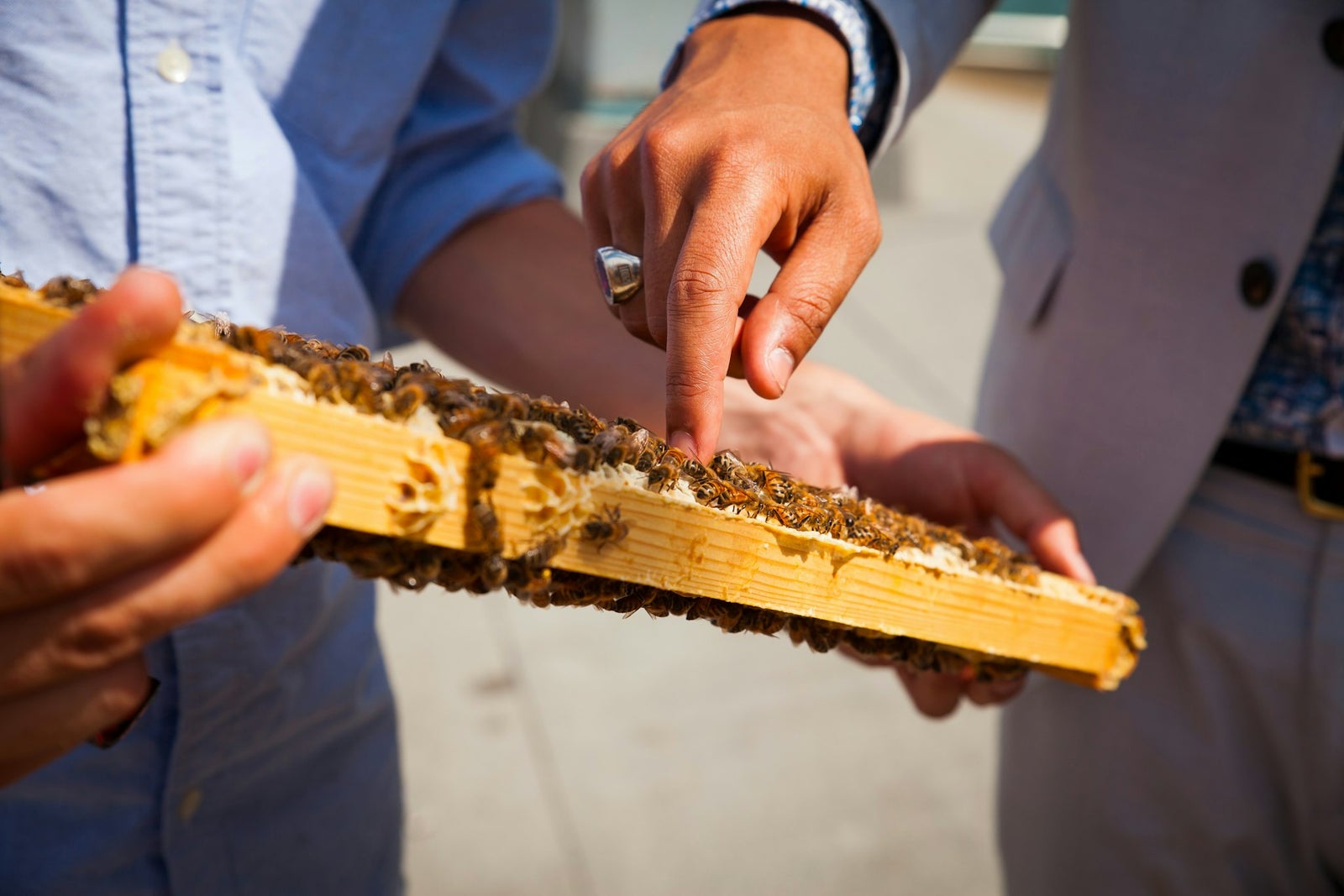 Beekeepers at the Chippewa Valley Bee Expo