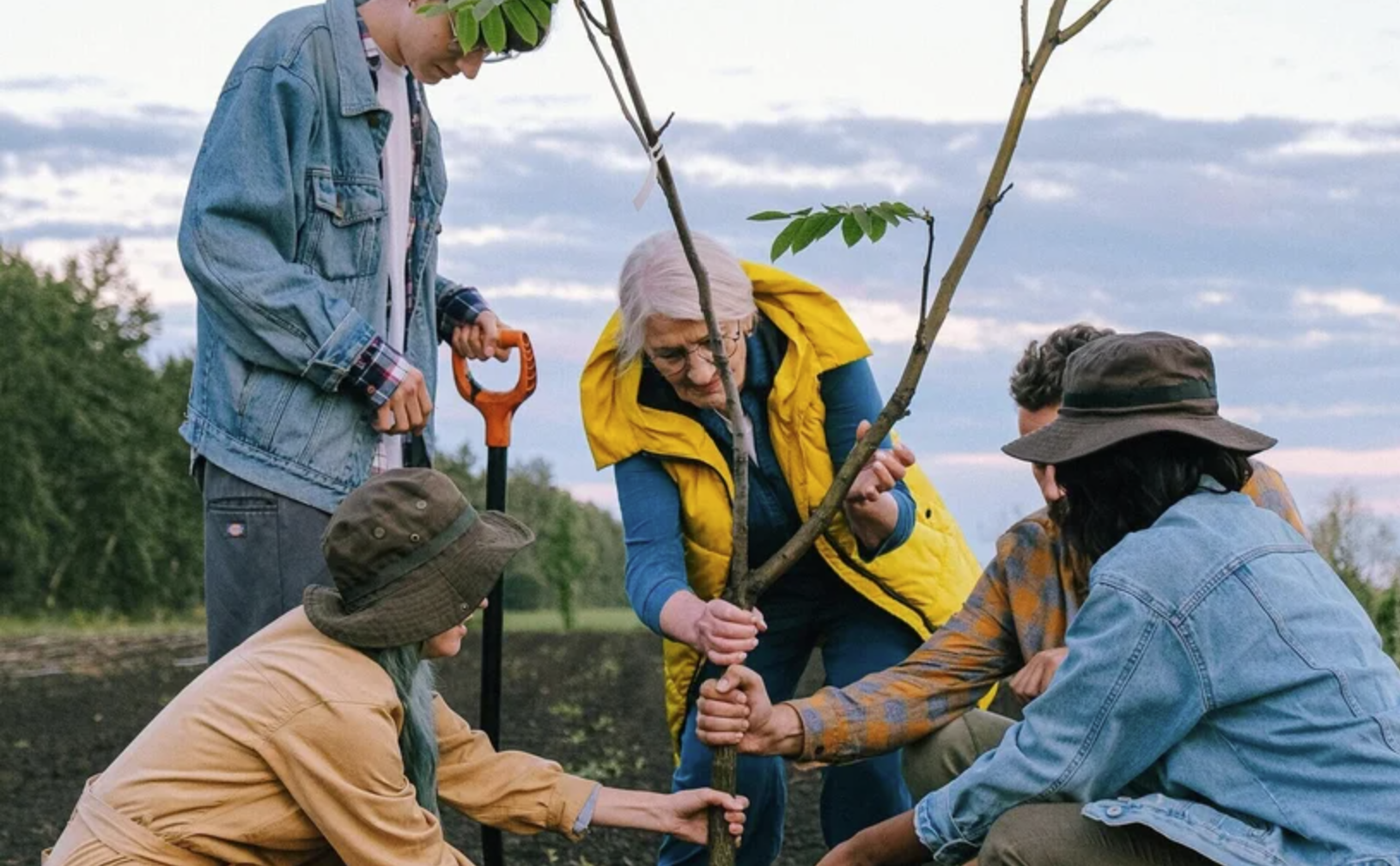 A group of volunteers planting a tree