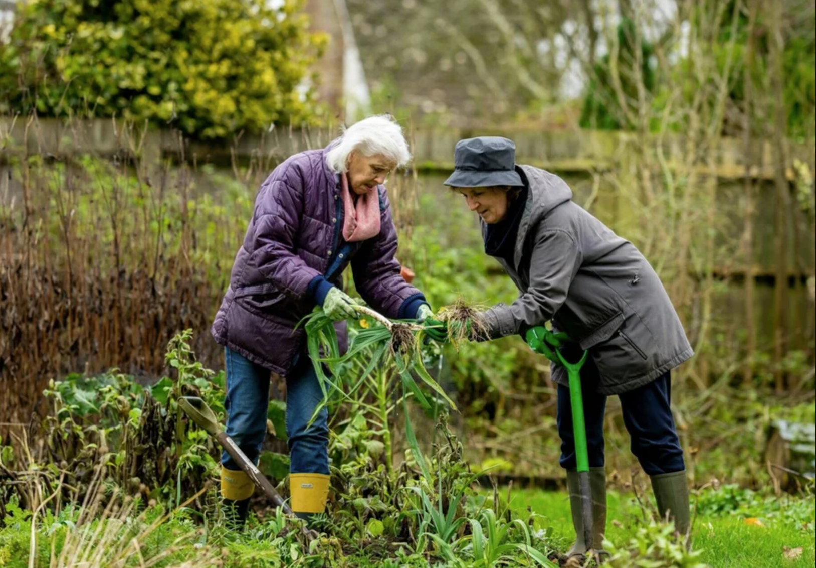 Two volunteers working in a garden