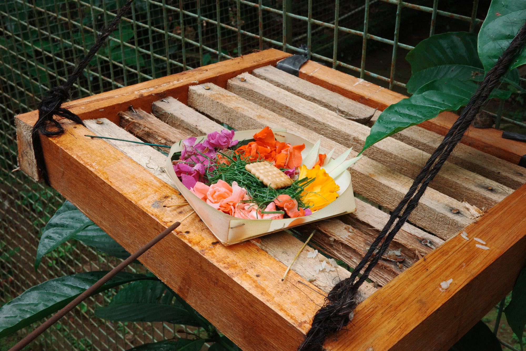 Wooden platform with a tray of colorful flowers, green leaves, and a biscuit on top.
