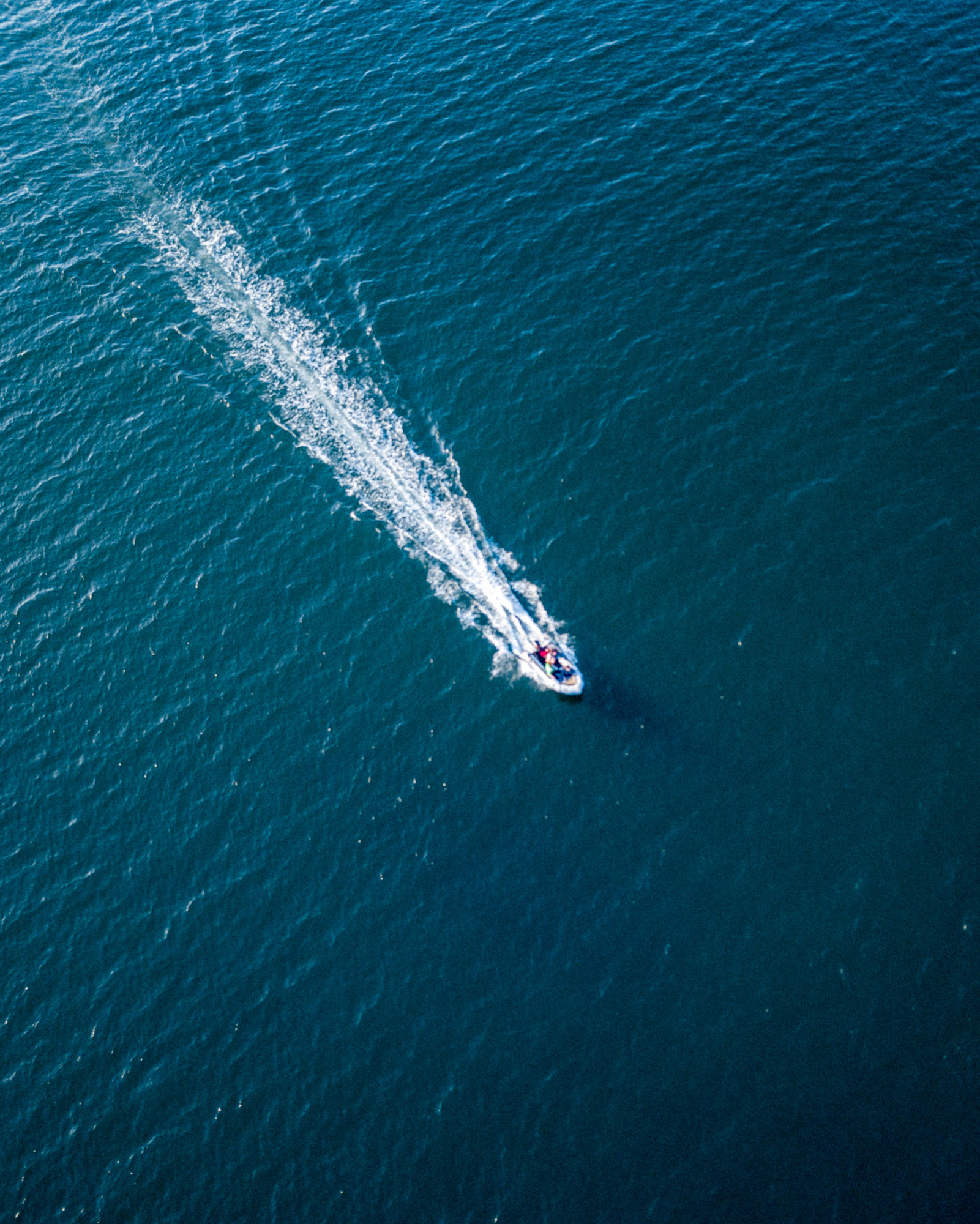 A small motorboat with people leaves a white wake as it moves across dark blue water.