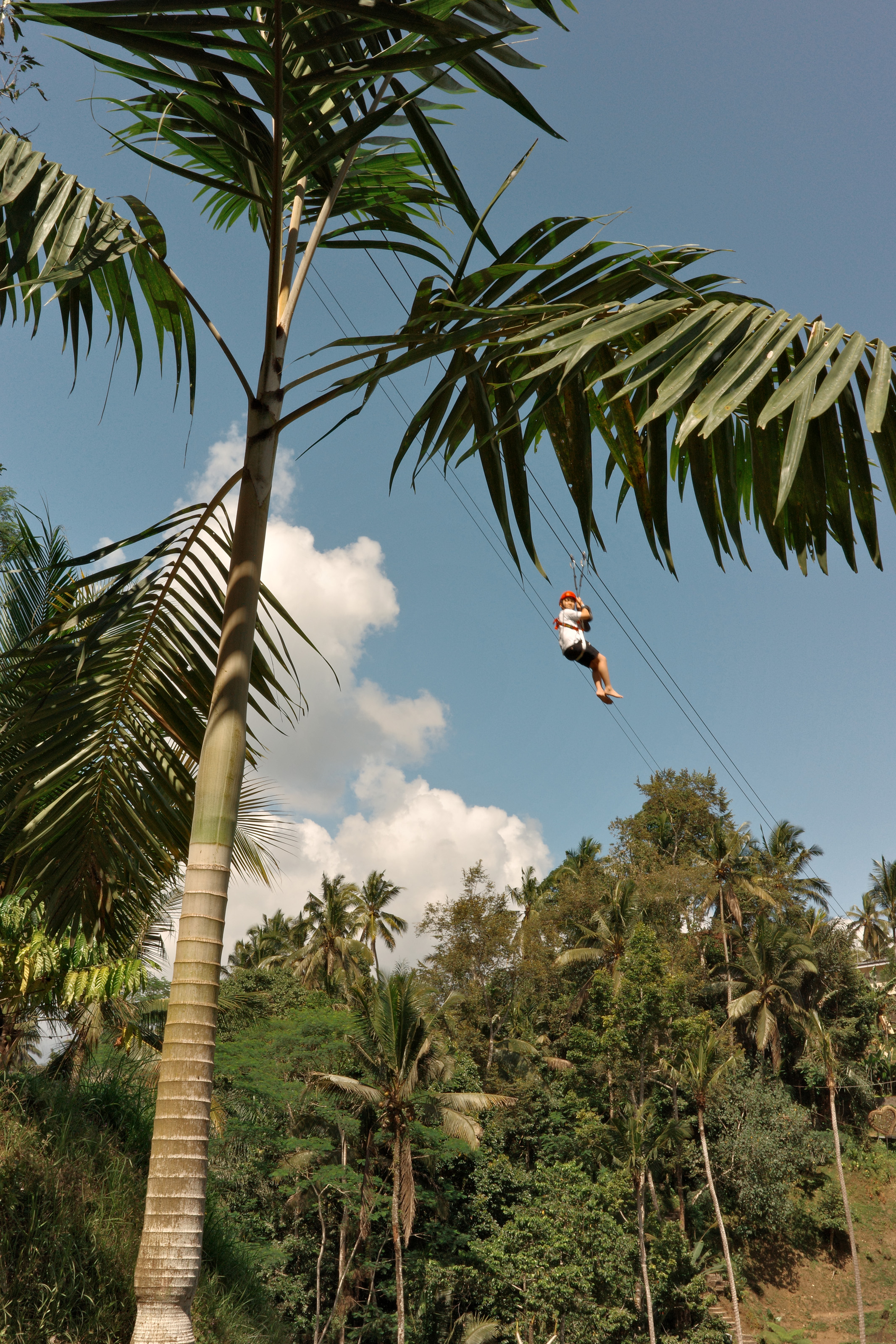 Person ziplining above tropical trees under a bright sky with white clouds.
