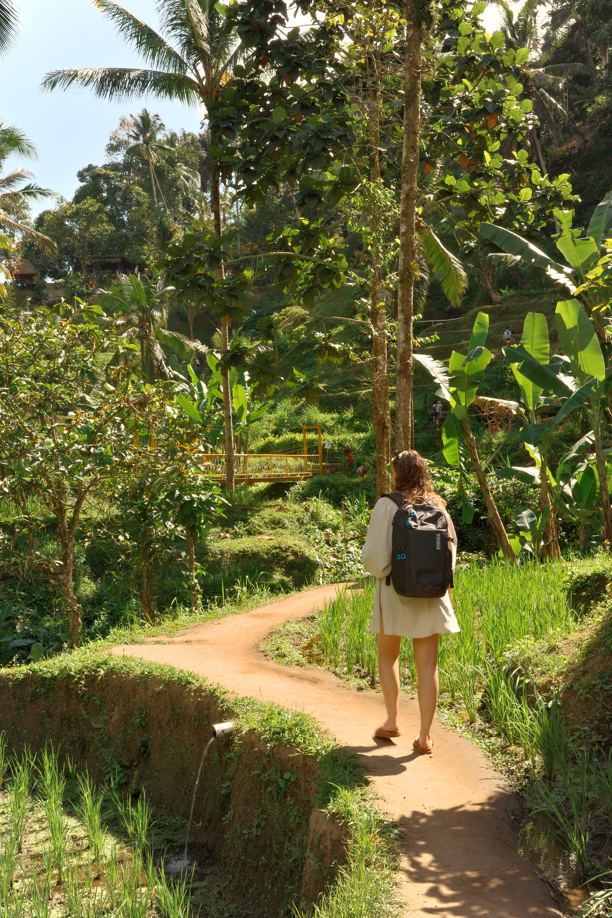 Woman with backpack walking on a dirt path through lush green tropical plants and trees.