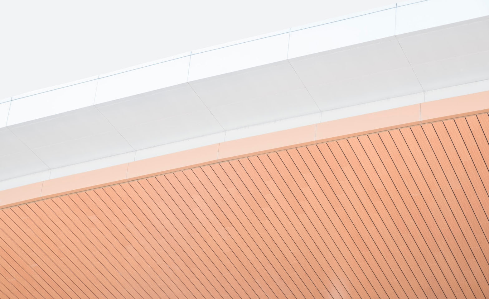 Ceilings for residential architecture: benefits and disadvantages of each material.
