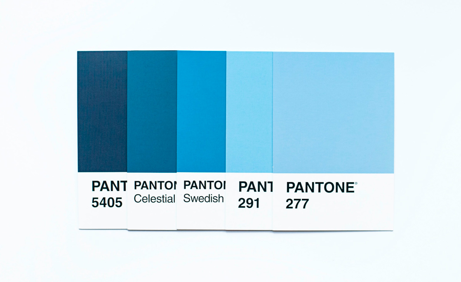 The blue has never been so alive.