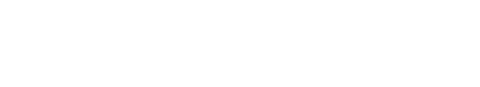 Logo Wellendorff