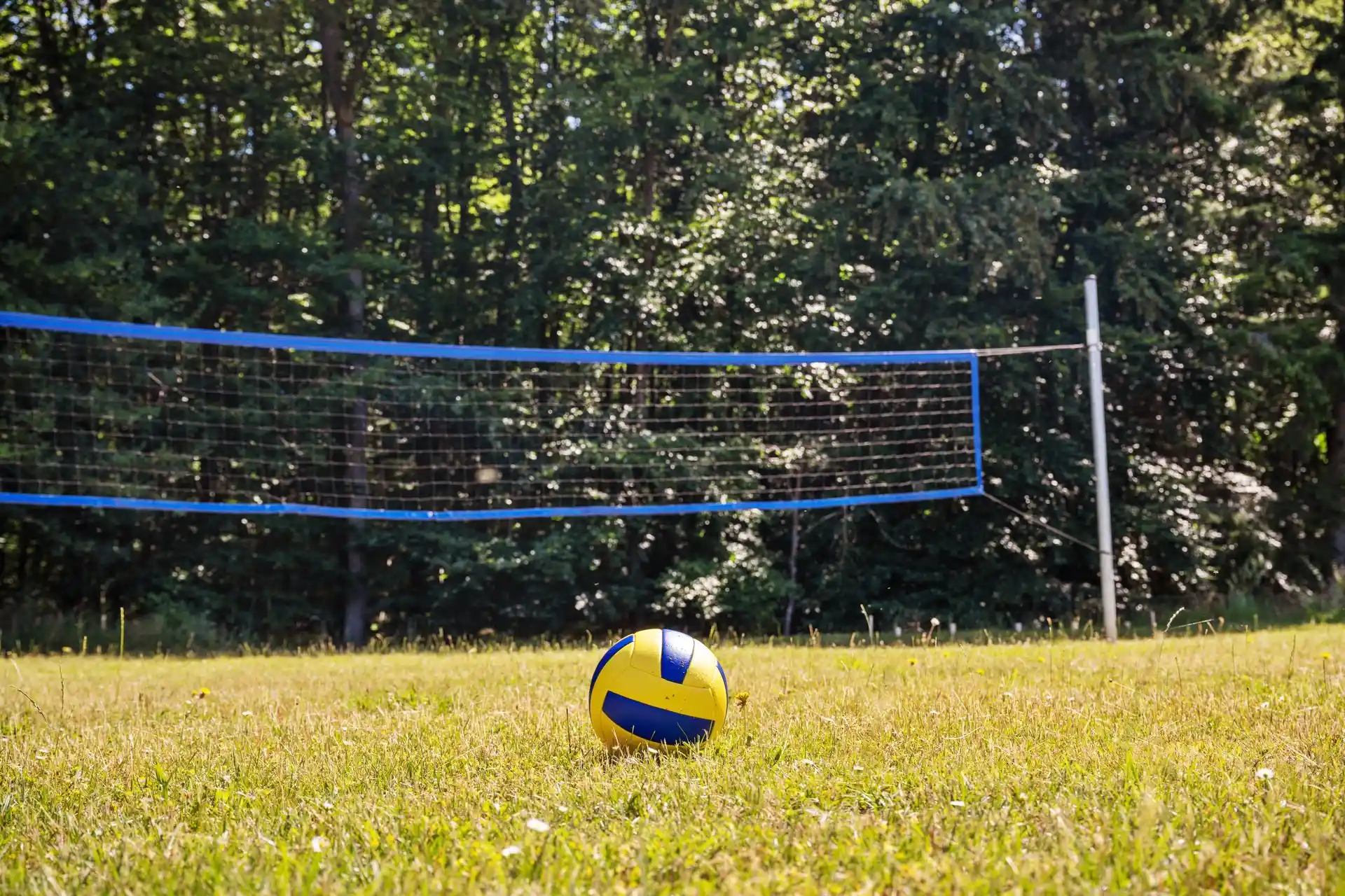 Volleyballfeld im Garten mit Waldrand