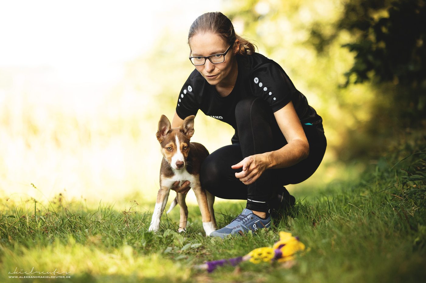 Junger Hund schaut aufmerksam in die Kamera
