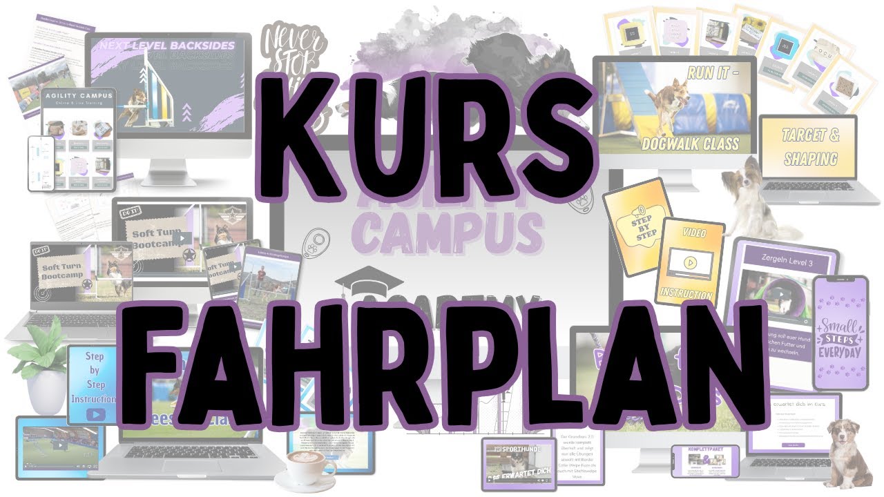 Anna Hinze erklärt, wie die Kurse im Agility Campus aufgebaut sind