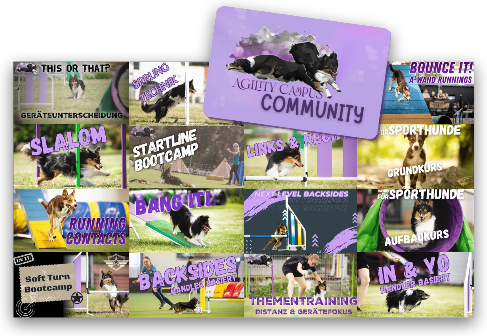 Kursbilder aller Agility Campus Kurse mit der Community-Karte