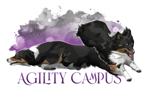 Agility Campus