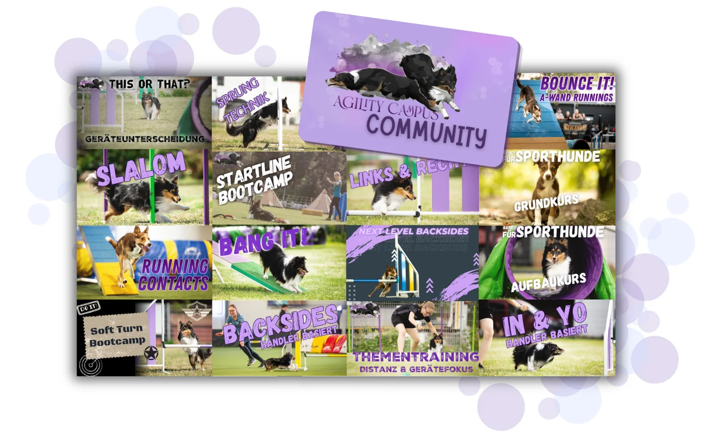 Agility Campus Community Mitgliedskarte vor allen enthaltenen Kursen