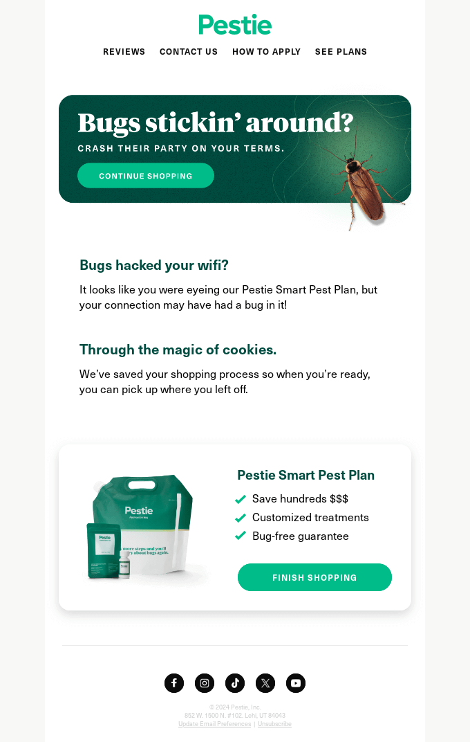 Pestie's t abandoned cart email example
