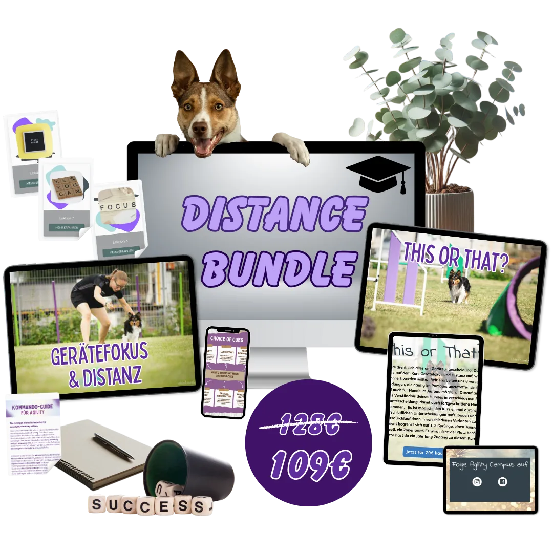 Smart Distance Bundle, Onlinekurs von Anna Hinze