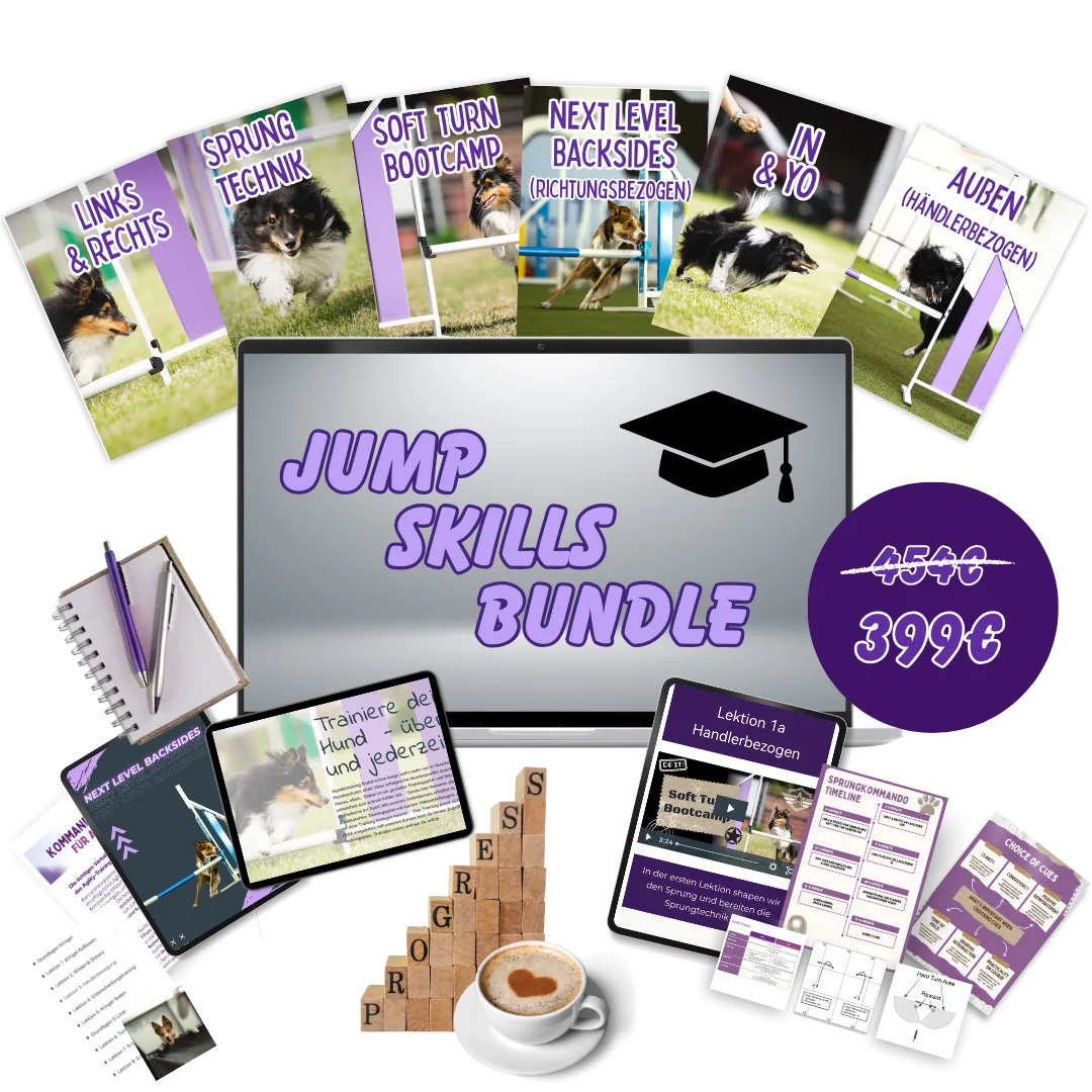 Smart Jump Skills Bundle, Onlinekurs von Anna Hinze