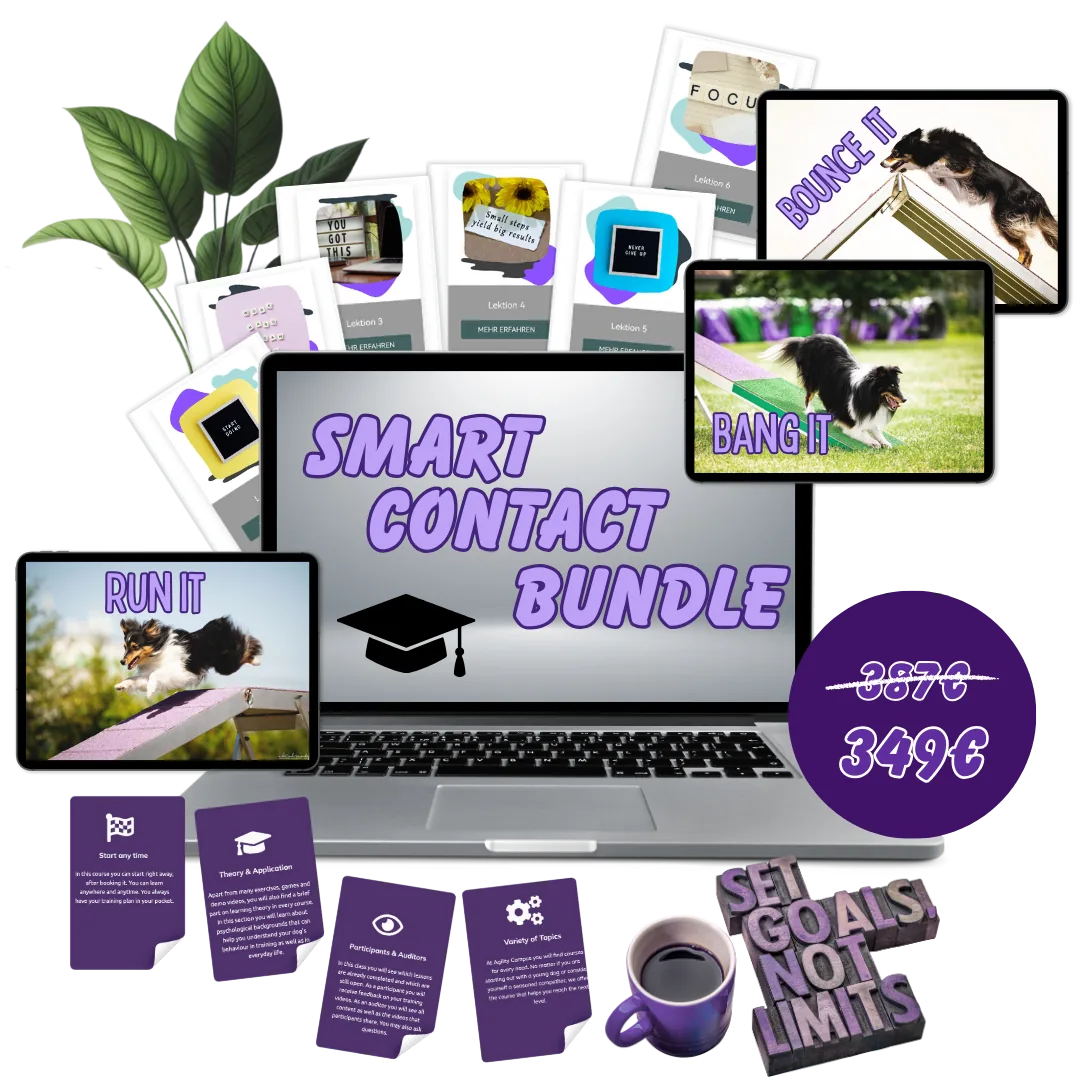 Smart Contact Bundle, Onlinekurs von Anna Hinze