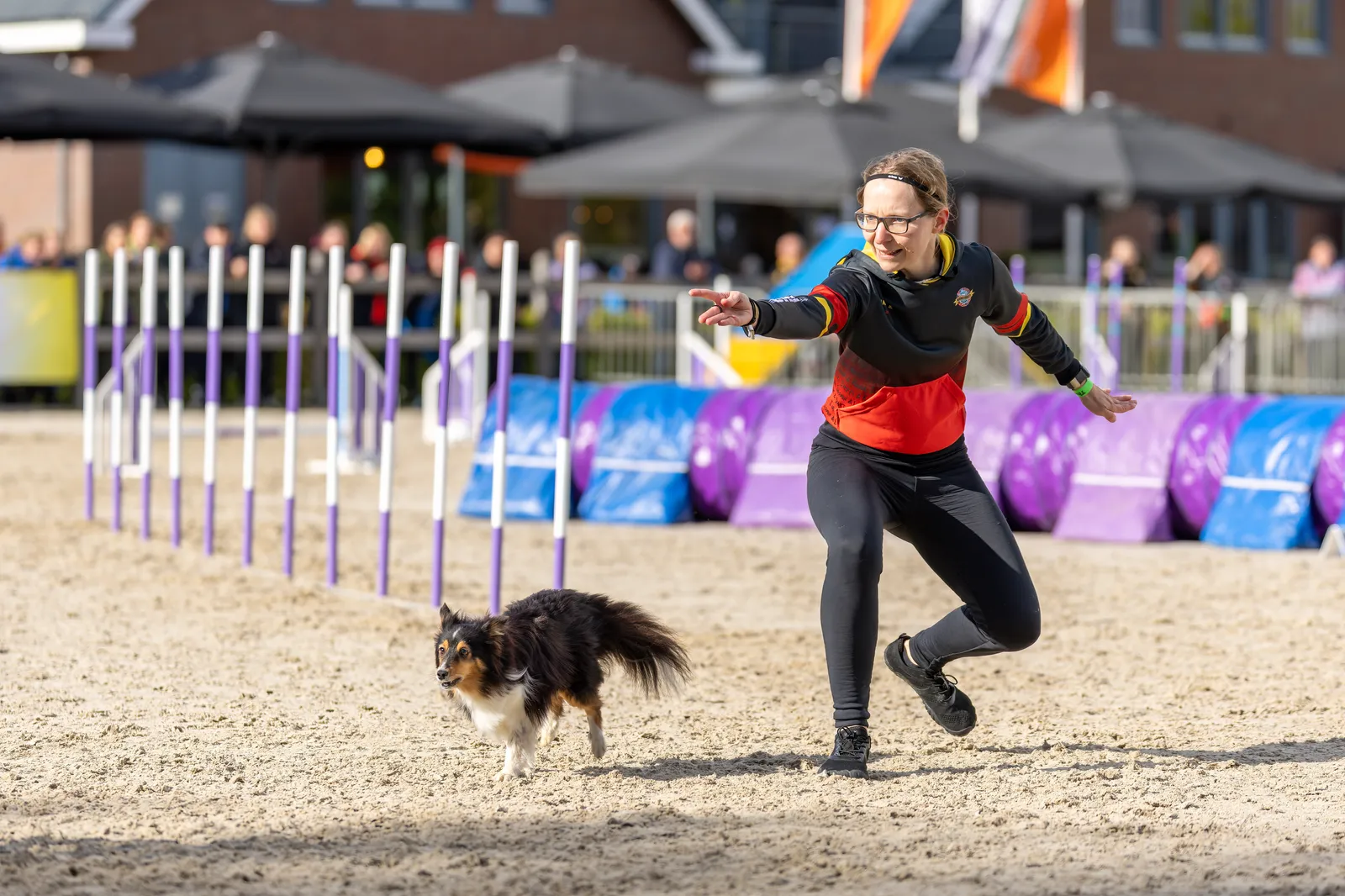Flow im Agility: Warum du manche Läufe anders erlebst