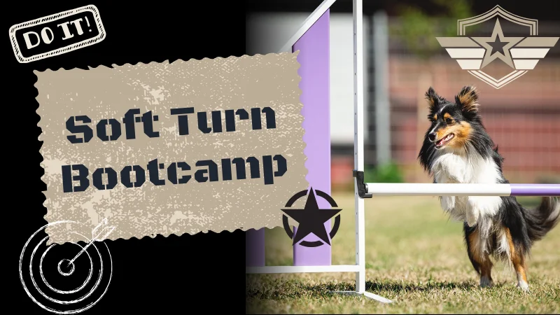 Soft Turn Bootcamp, Onlinekurs von Anna Hinze