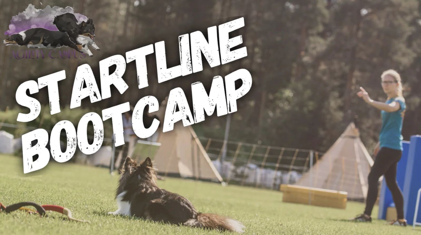 Startline Bootcamp, Onlinekurs von Anna Hinze