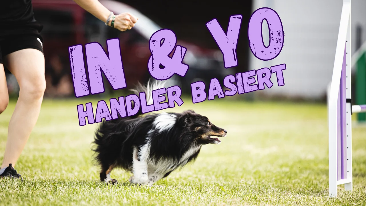 Skill Building: In & Yo, Onlinekurs von Anna Hinze