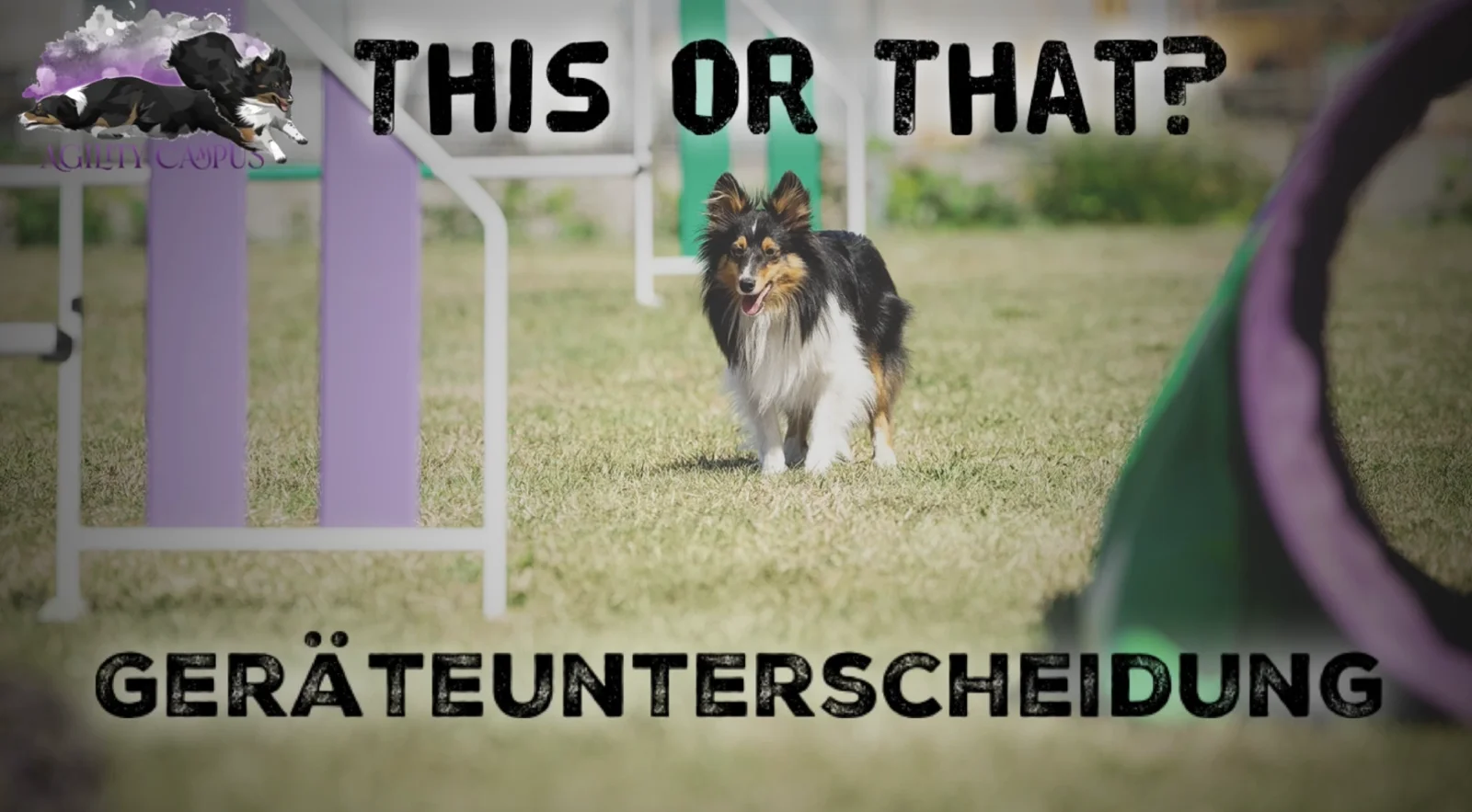 This or That?, Onlinekurs von Anna Hinze