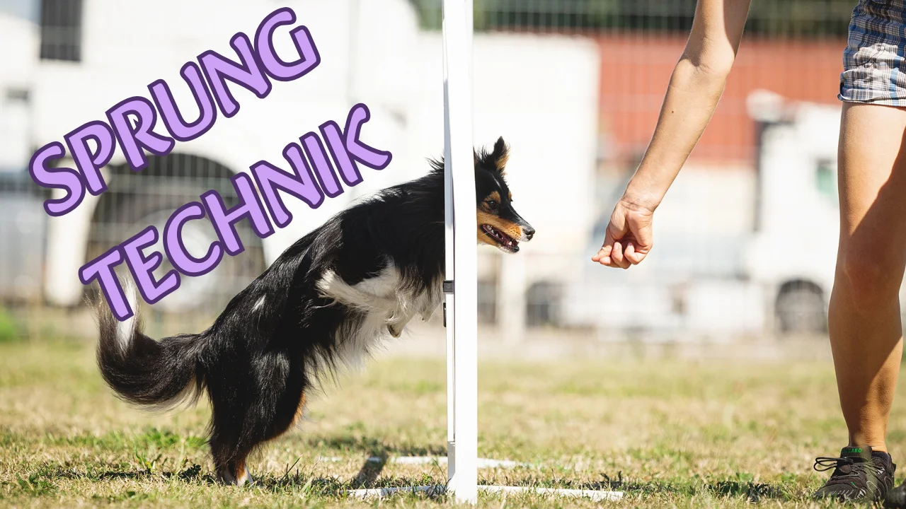 Skill Building: Sprungtechnik, Onlinekurs von Anna Hinze