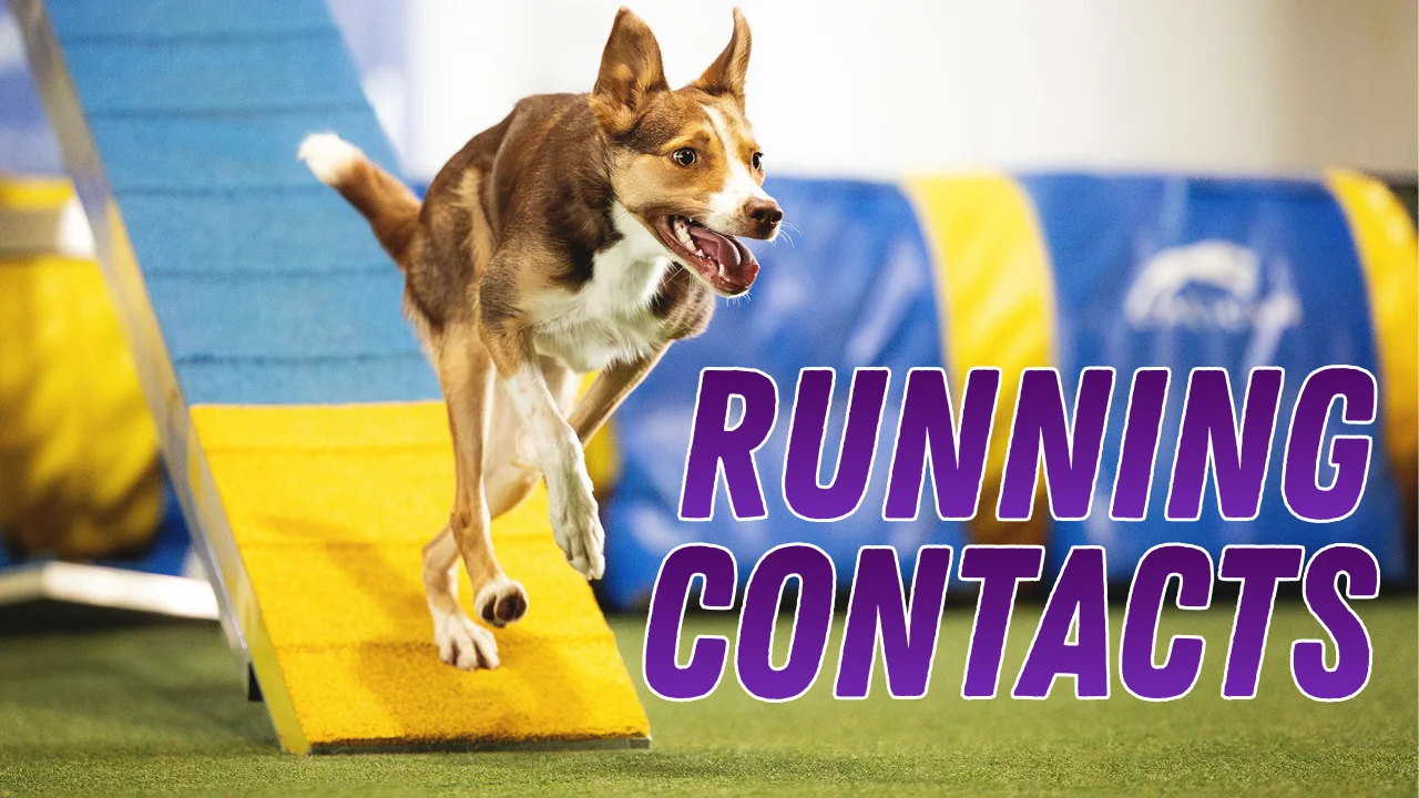 Run It, der Stegkurs von Anna Hinze