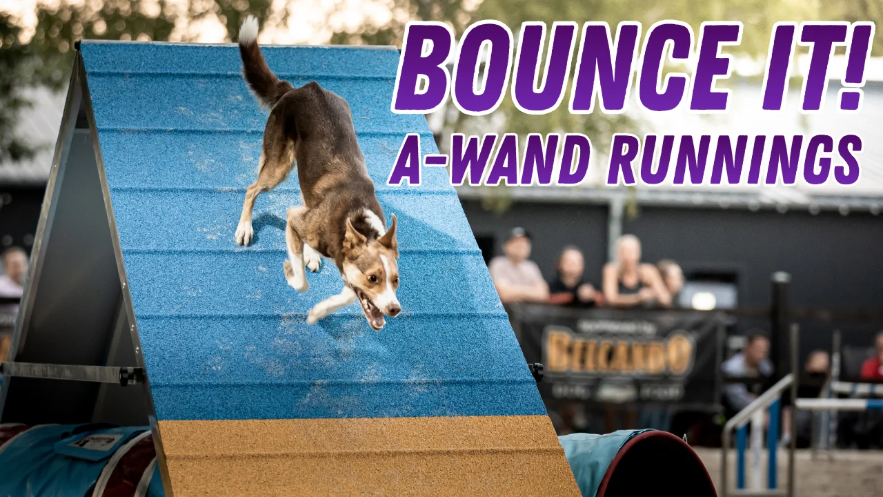 Bounce It, Onlinekurs von Anna Hinze