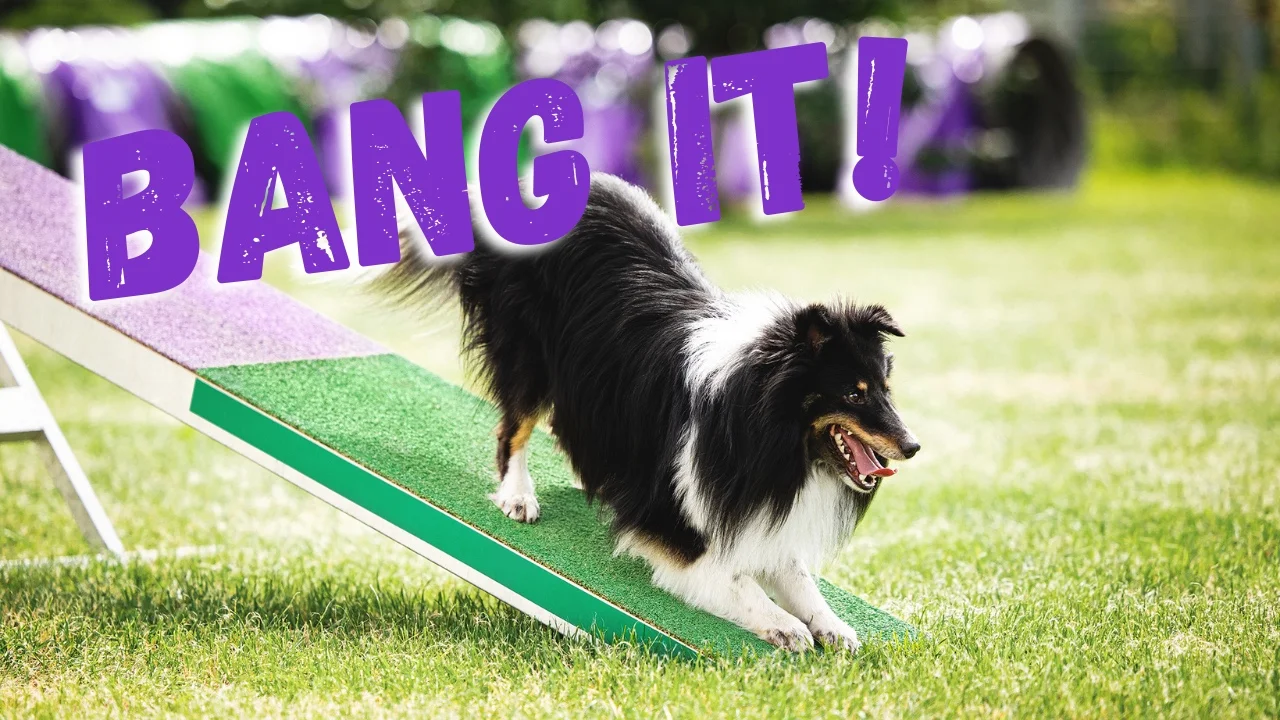 Bang It, der Wippenkurs von Anna Hinze
