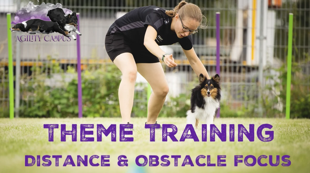 Obstacle Focus & Distance