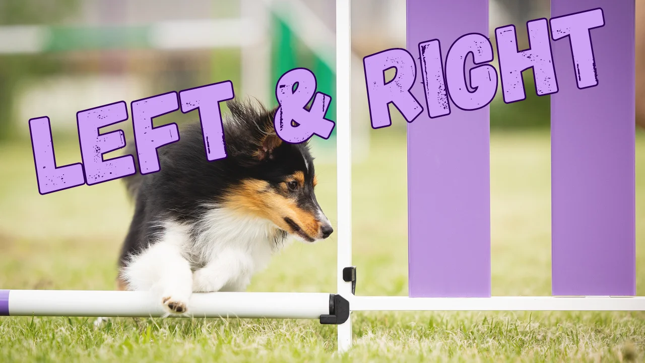 Skill Building: Left & Right