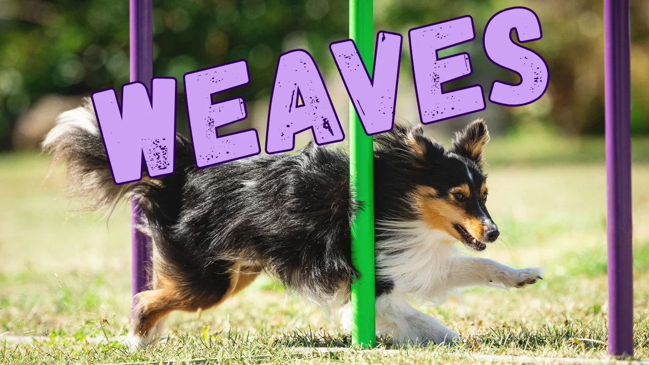 Skill Building: Weaves