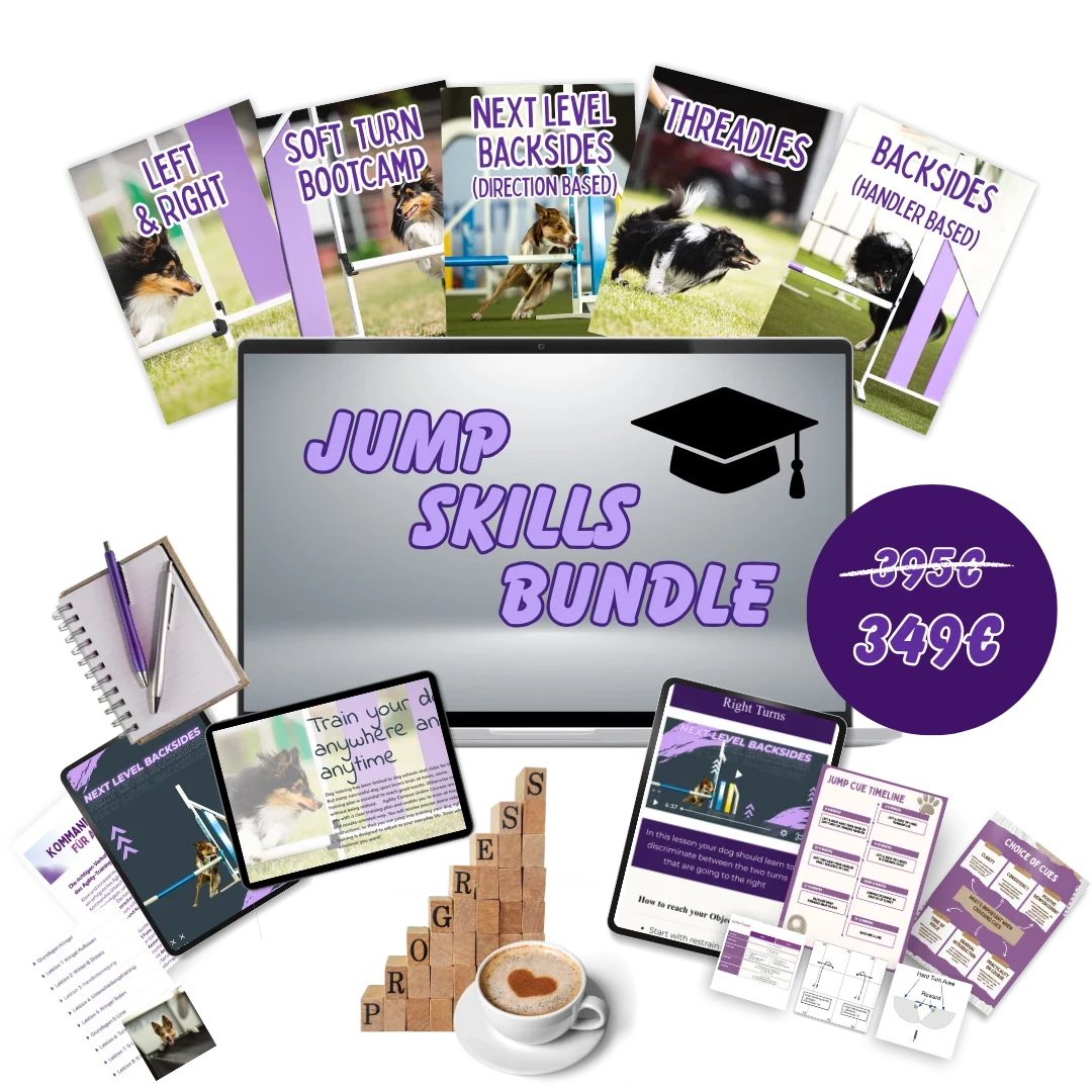Smart Jump Skills Bundle, online course bundle by Anna Hinze