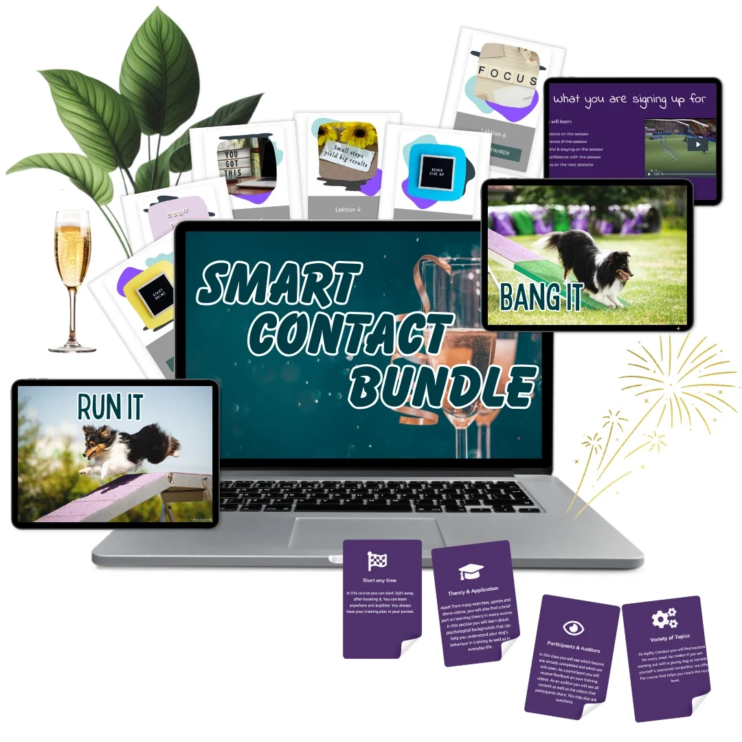 Smart Contact Bundle, online course bundle by Anna Hinze