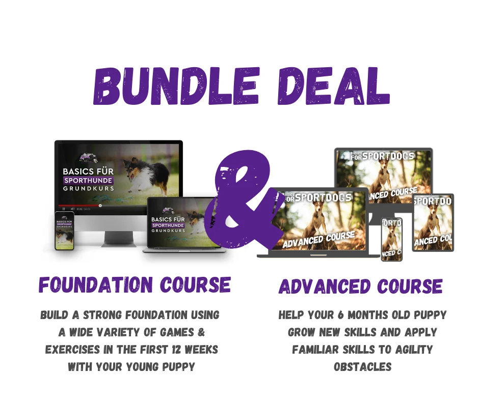 Basics for Sport Dogs 2.0 Bundle: Foundation Course and Advanced Course by Anna Hinze