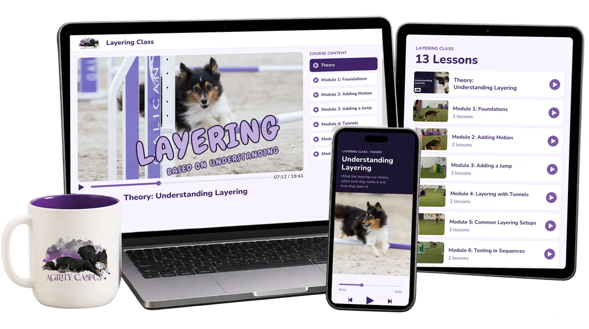 Layering-Kurs auf Laptop, Tablet und Handy