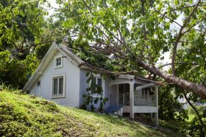 roof damaged by falling tree