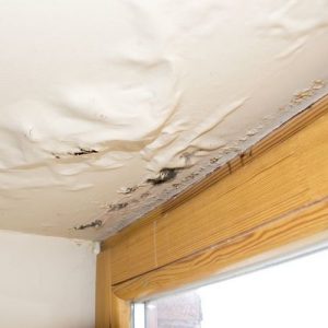 Evidence of a Roof Leak
