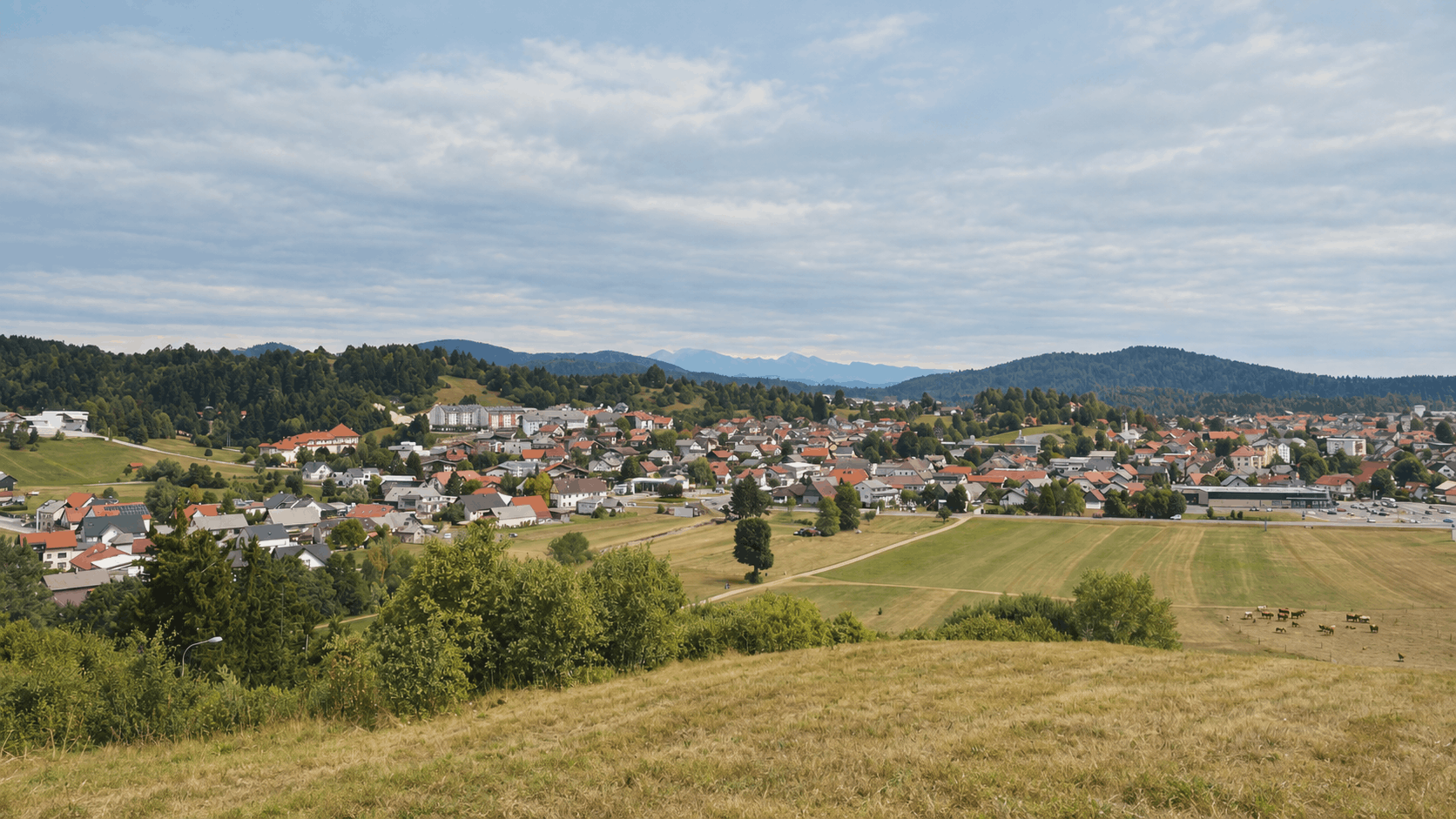 Pogled na manjše mesto Logatec s številnimi hišami s svetlimi in rdečimi strehami, obdano z zelenimi hribi in travniki, z gorskimi vrhovi v ozadju pod oblačnim nebom.