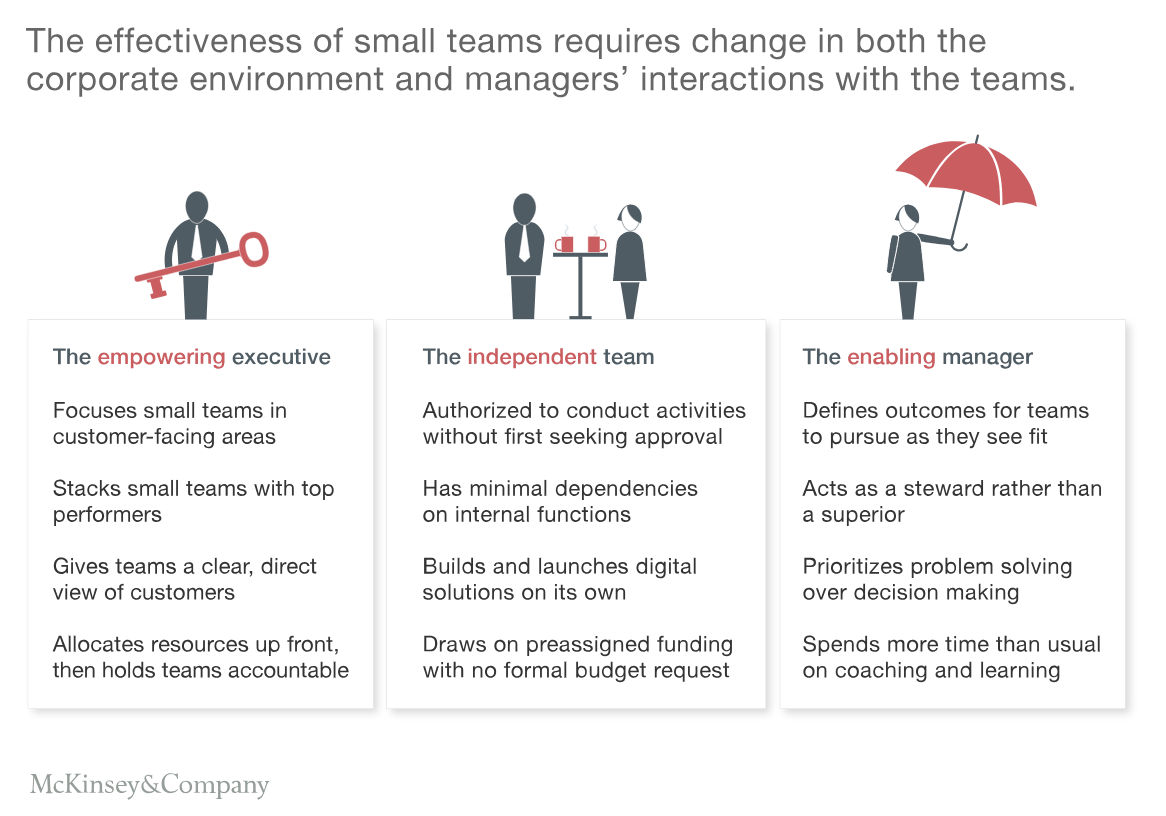 FIGURE 6: How to enable small teams in an agile company (Source: McKinsey)
