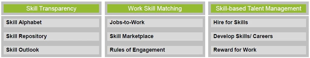 FIG 7 : A framework for skills management (Source: TI-People)